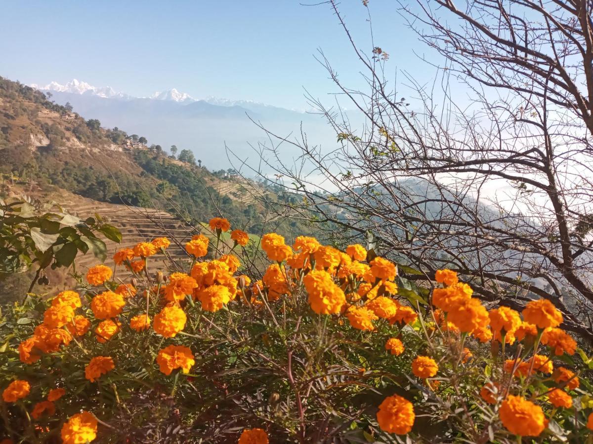 Unique Point Home Stay Nagarkot Exteriör bild