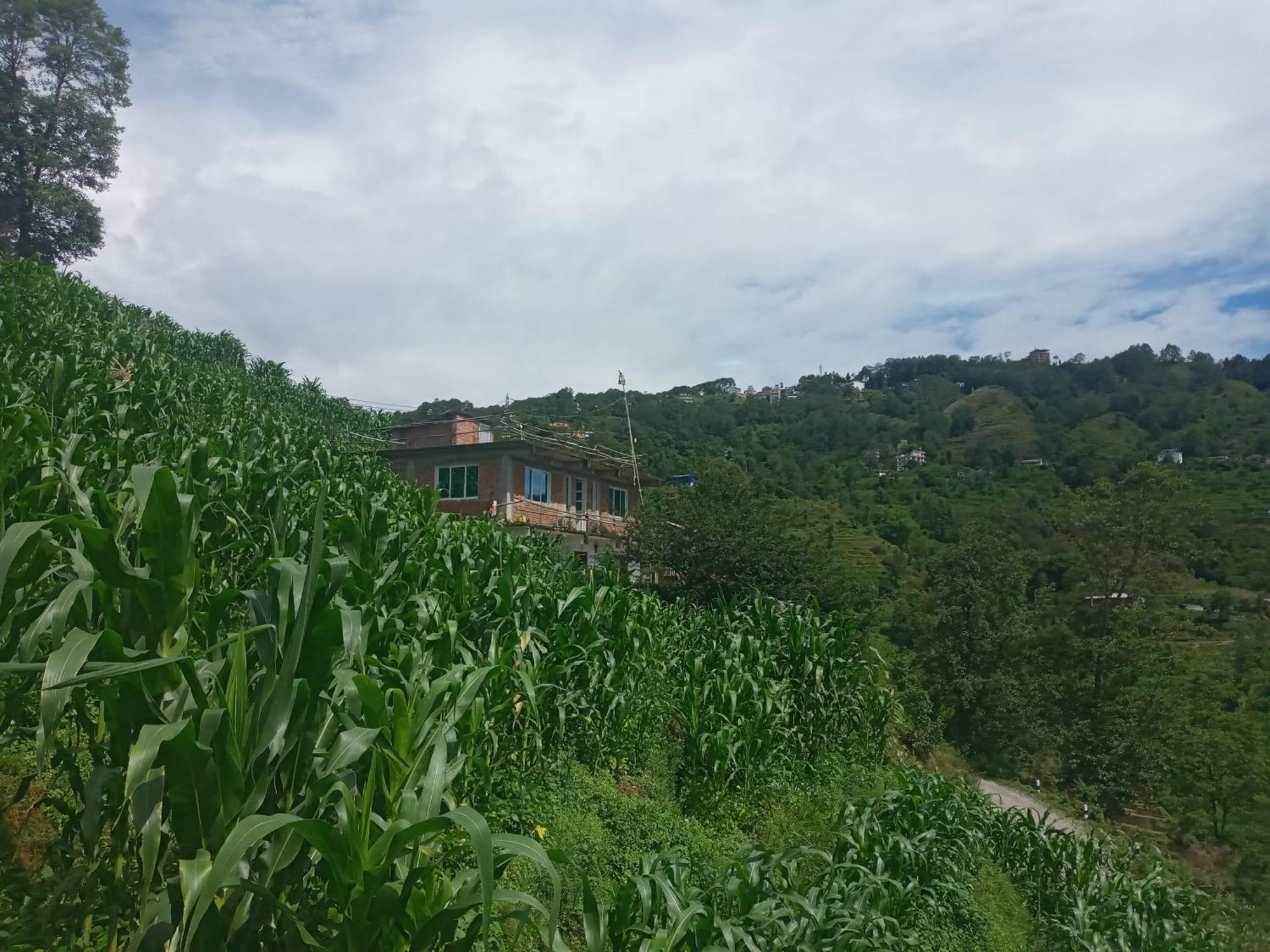 Unique Point Home Stay Nagarkot Exteriör bild