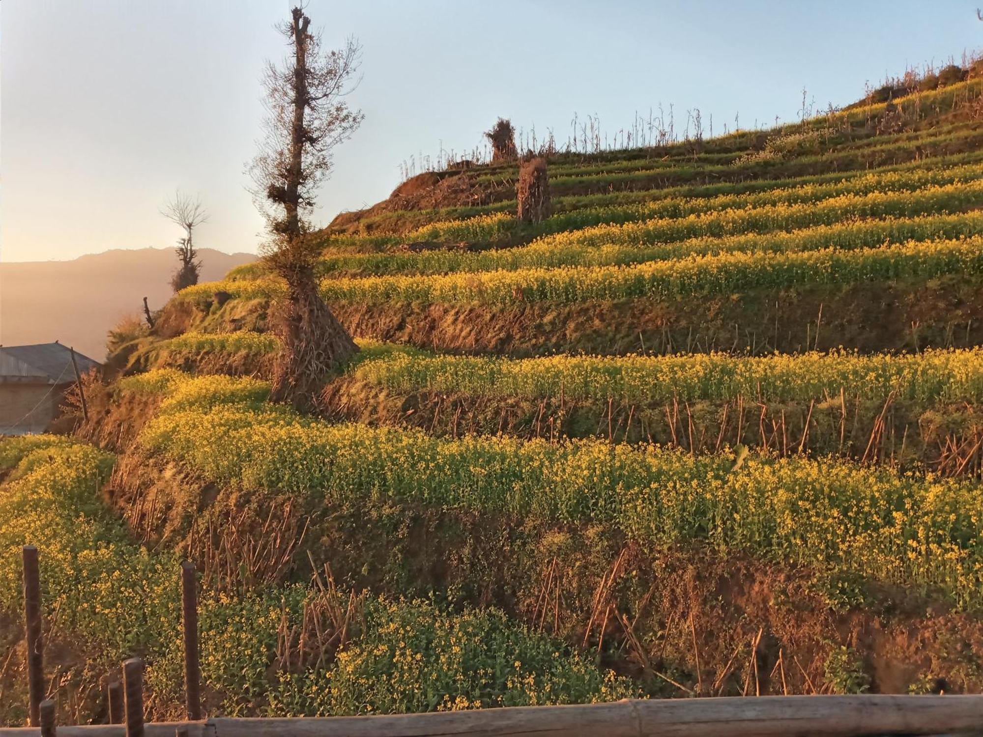 Unique Point Home Stay Nagarkot Exteriör bild